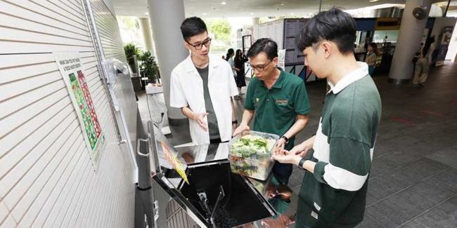 ough interesting games, SMU organises green campaign on social media to encourage students to reduce food wastage (Photo: Lianhe Zaobao)
