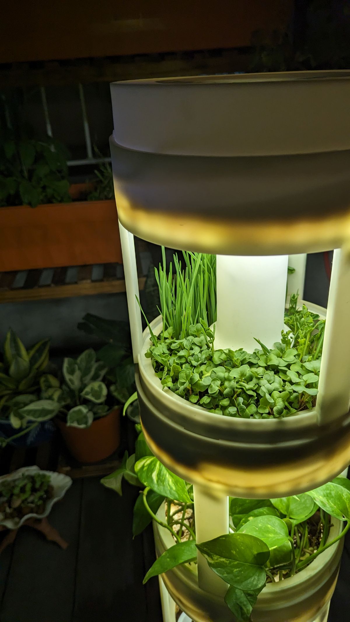 The plant tower used by Sproutastic, produced by Greenairy, has evolved. It now enables the growth of microgreens and the ‘cleaning’ of indoor air. (Photo credit: Greenairy)