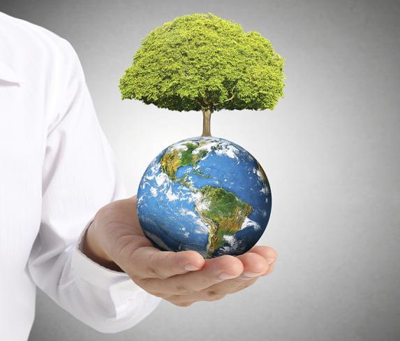 Are global citizens also environmentally conscious? | SMU Newsroom