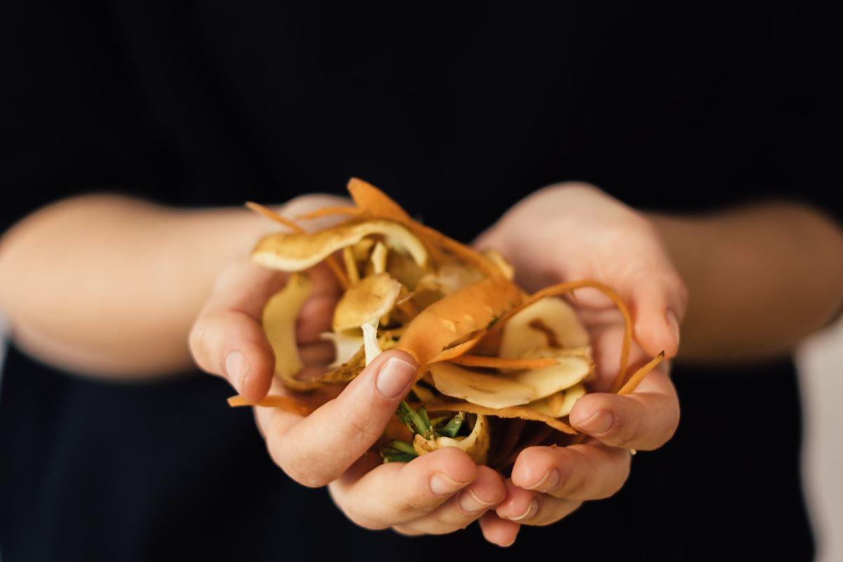 How Ento Industries developed a growing sustainable food waste management business with black soldier flies