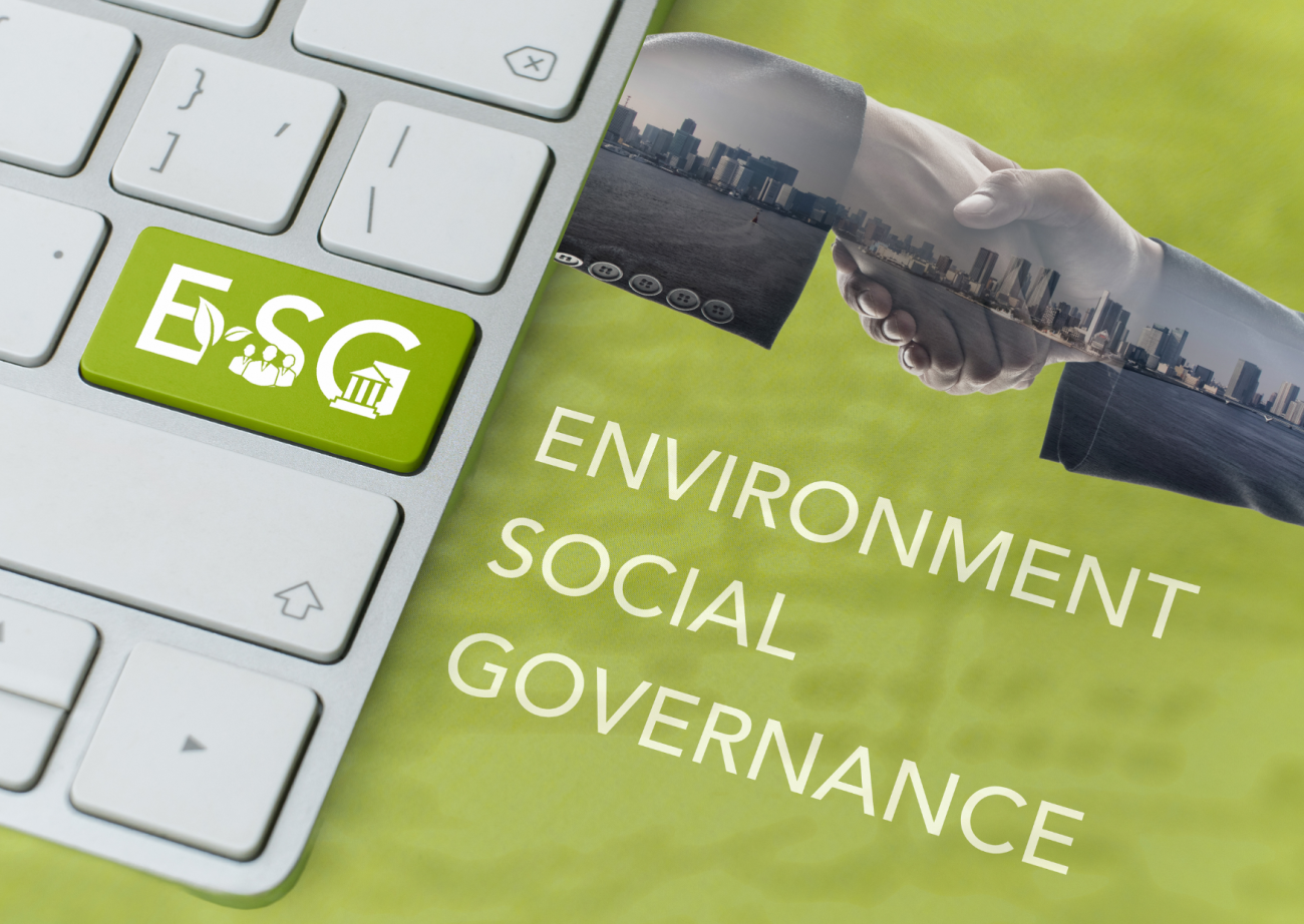 Advancing Sustainability: SMU accounting professors earn prestigious recognition for ESG research