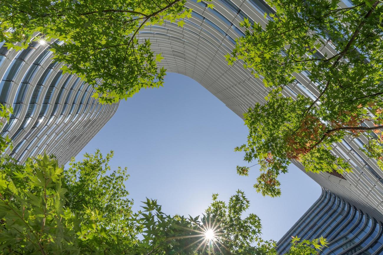 SMU and DBS partner to launch ‘Sustainable Finance in Action’ to equip leaders with tools to tackle Asia’s Green Finance challenges