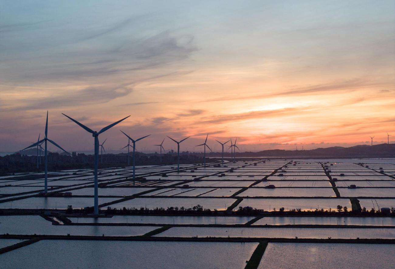 Raising the Ambition: How Transition Finance Can Propel Businesses Forward