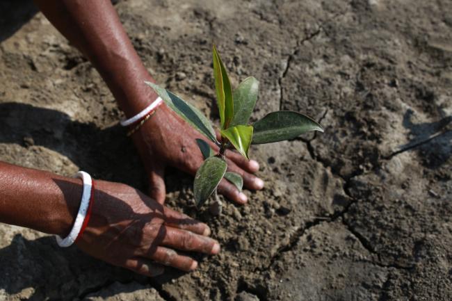 Can the market save nature? – Tackling the “glaring research gap” between dollars and data in biodiversity finance for a better future