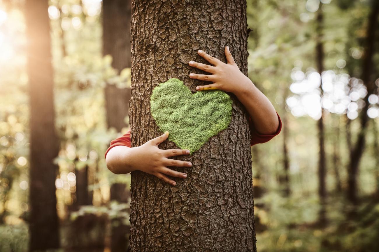 Corporate Sustainability – For love or beyond?