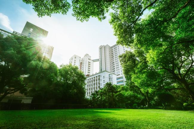 Parks and green spaces increase the social well-being of older adults
